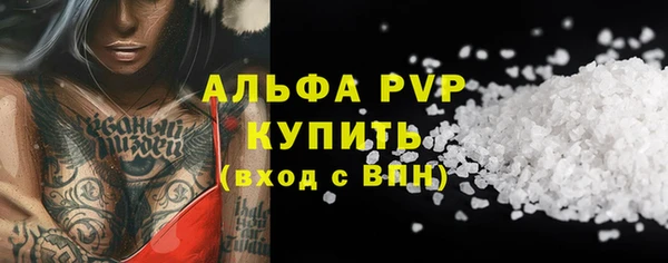 СК Волоколамск