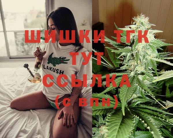 соль ск Горно-Алтайск