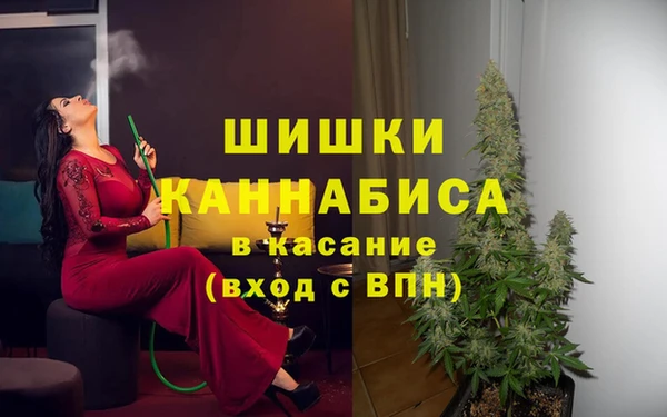 СК Волоколамск