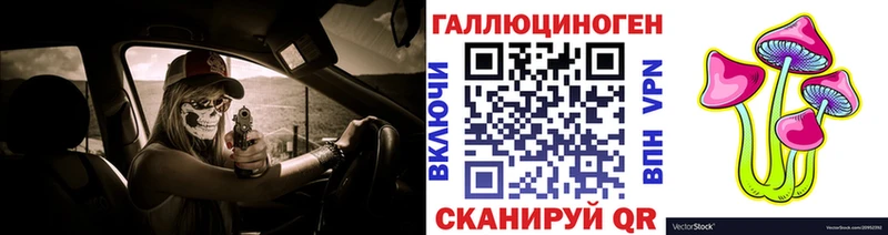 Галлюциногенные грибы Magic Shrooms  Купить где  Рыльск 